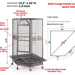 Large Corner Parrot Bird Wrought