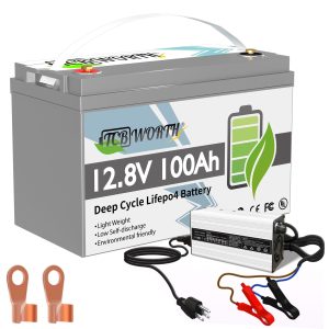 LiFePO4 Battery 12V 100Ah with 10A Charger,TCBWORTH Battery,100A BMS,10000+Cycles, for RV,Solar